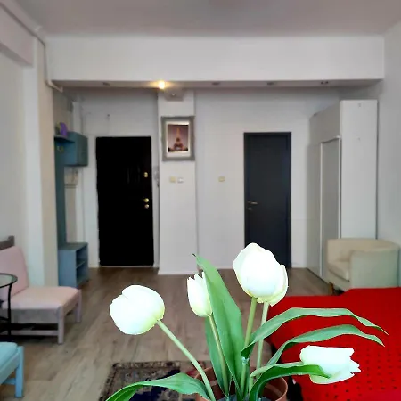 Garsoniera Centrul Bucurestiului アパート *
