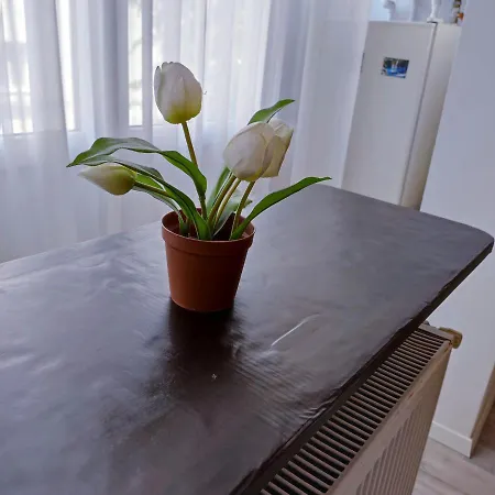 Garsoniera Centrul Bucurestiului