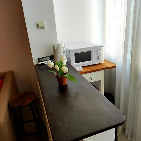 아파트 Garsoniera Centrul Bucurestiului *