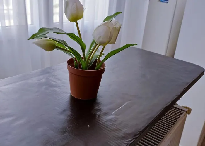 Garsoniera Centrul Bucurestiului