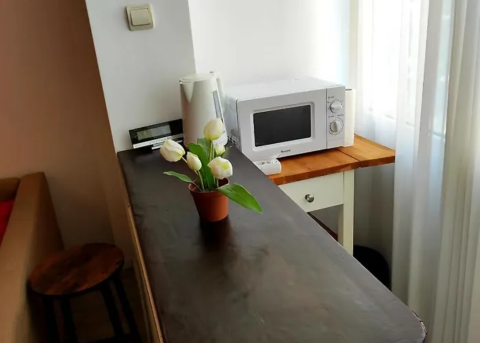 아파트 Garsoniera Centrul Bucurestiului *